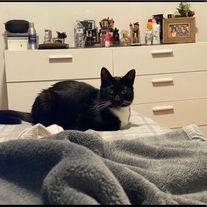 Selling my dresser, all white eight drawers